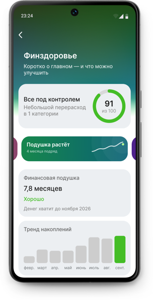 Экран финздоровья с оценкой и подушкой безопасности